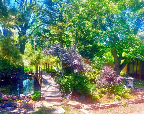 Charming, serene, eclectic 4brm/2.5 ba.,  mnt. views, lrg yard on multi-use path