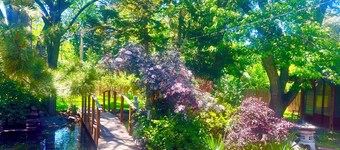 Charming, serene, eclectic 4brm/2.5 ba.,  mnt. views, lrg yard on multi-use path