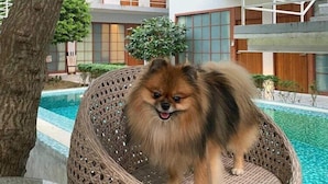 Property grounds - Four O'clock Hotel (Chiang Mai)