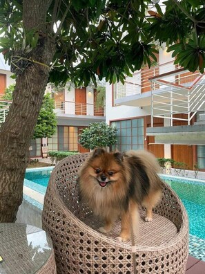 숙박 시설 구내