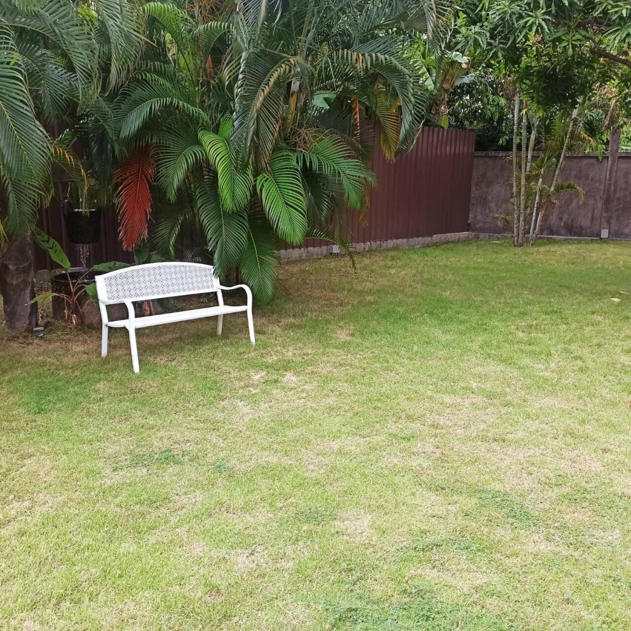 Un banc en métal blanc se trouve dans une cour verdoyante, bordée de grands palmiers et avec une clôture rouge en arrière-plan.
