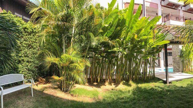 A garden with palm trees, a bench, and a pool area. - Hotel De Sripoom -sha Extra Plus (Chiang Mai)