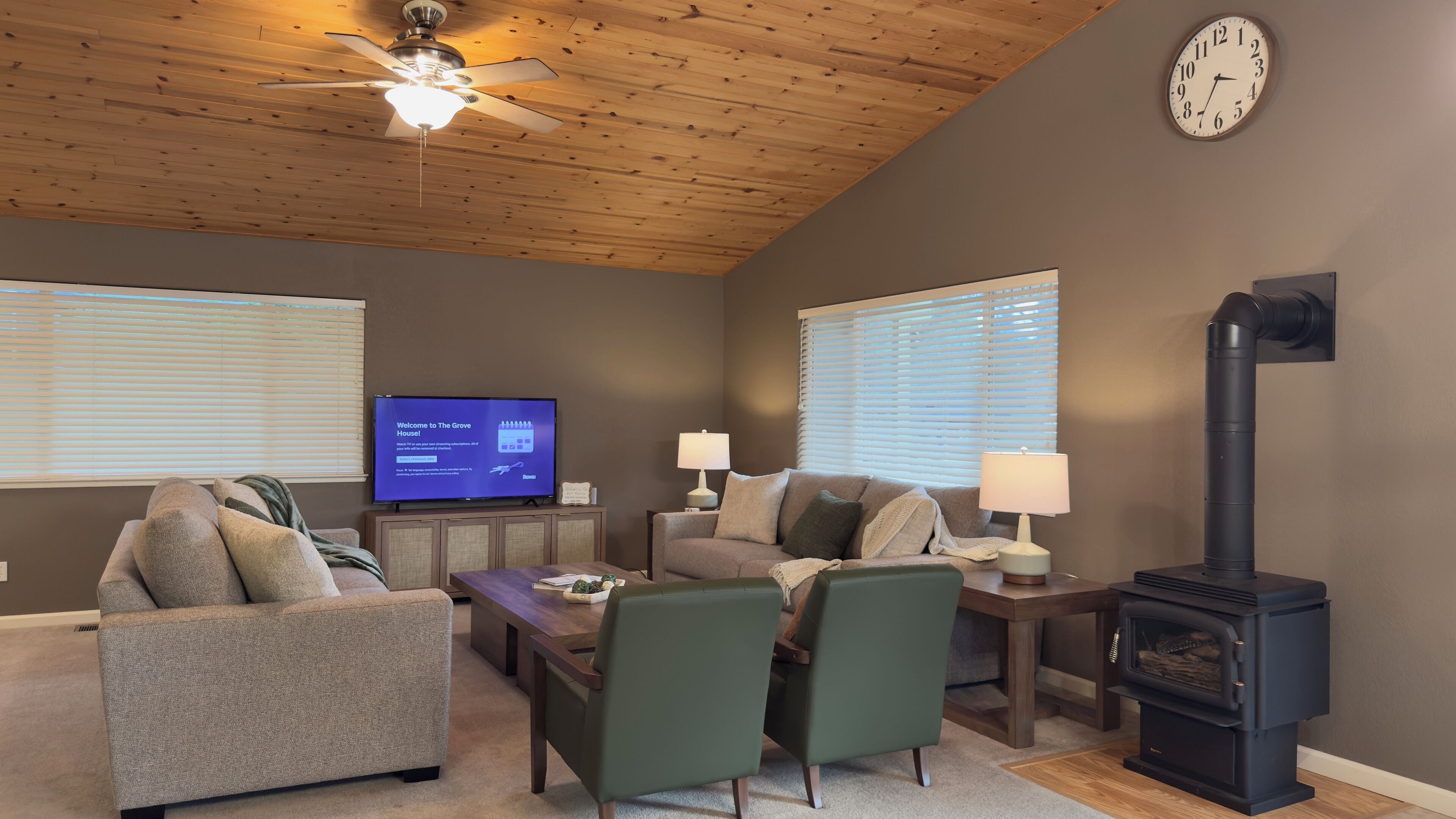 Smart TV, fireplace, books