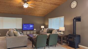 Smart TV, fireplace, books