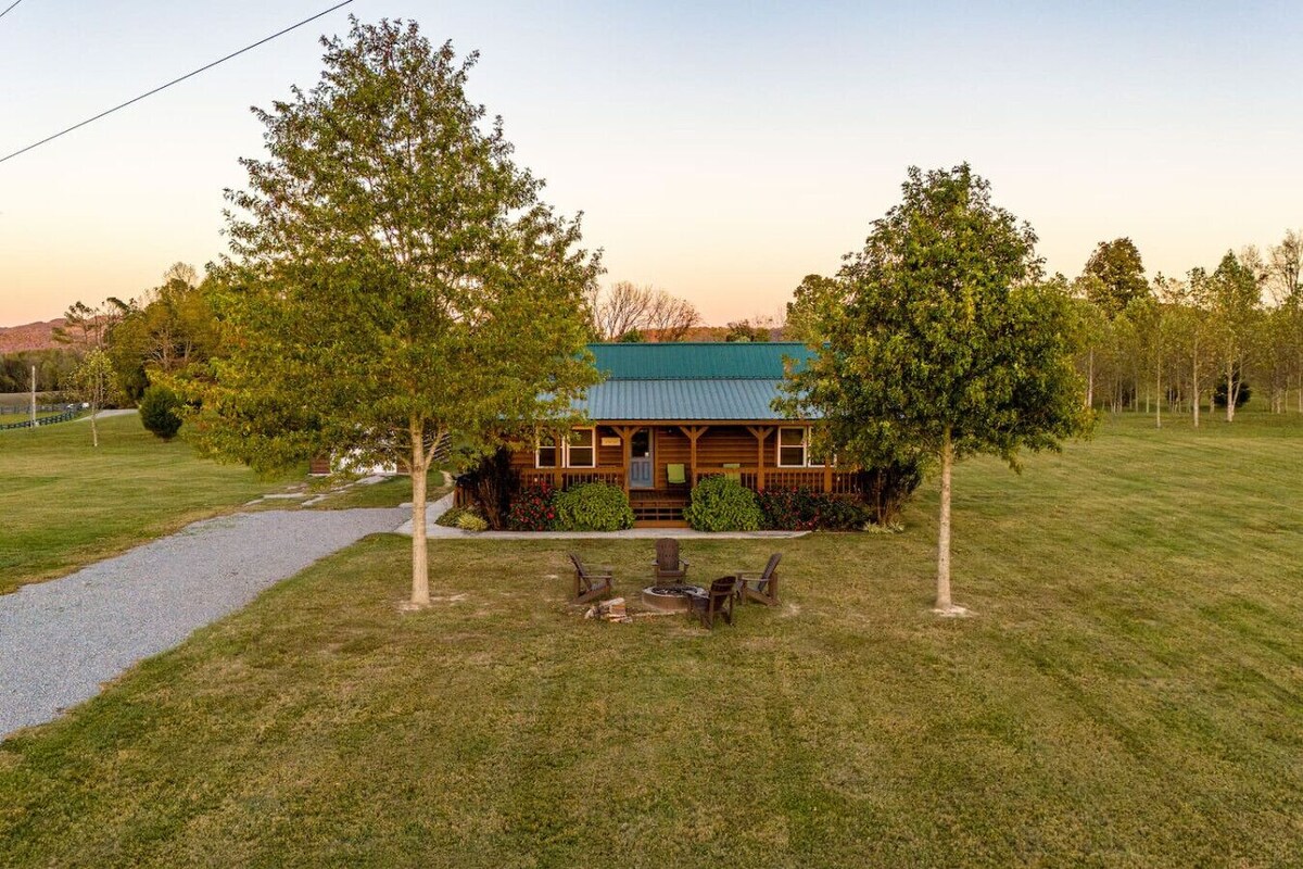 Imagen de perfil del propietario o de la propietaria