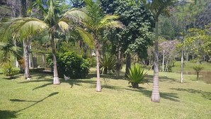 Un jardin bien entretenu, agrémenté de différentes espèces de palmiers et d’arbustes, d’un petit étang et d’une pelouse.