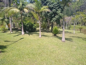 Property grounds - Nature Trail Site (Juquitiba)