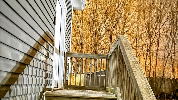 Una escalera de madera que lleva a un porche con vistas a árboles sin hojas al fondo.
