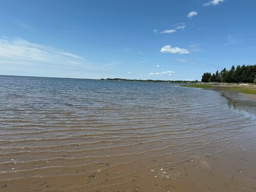 cozy house down the bay