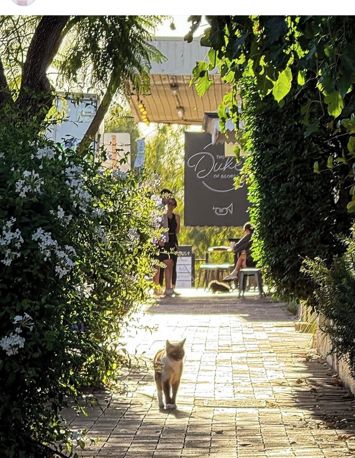 Overnattingsstedets uteområder