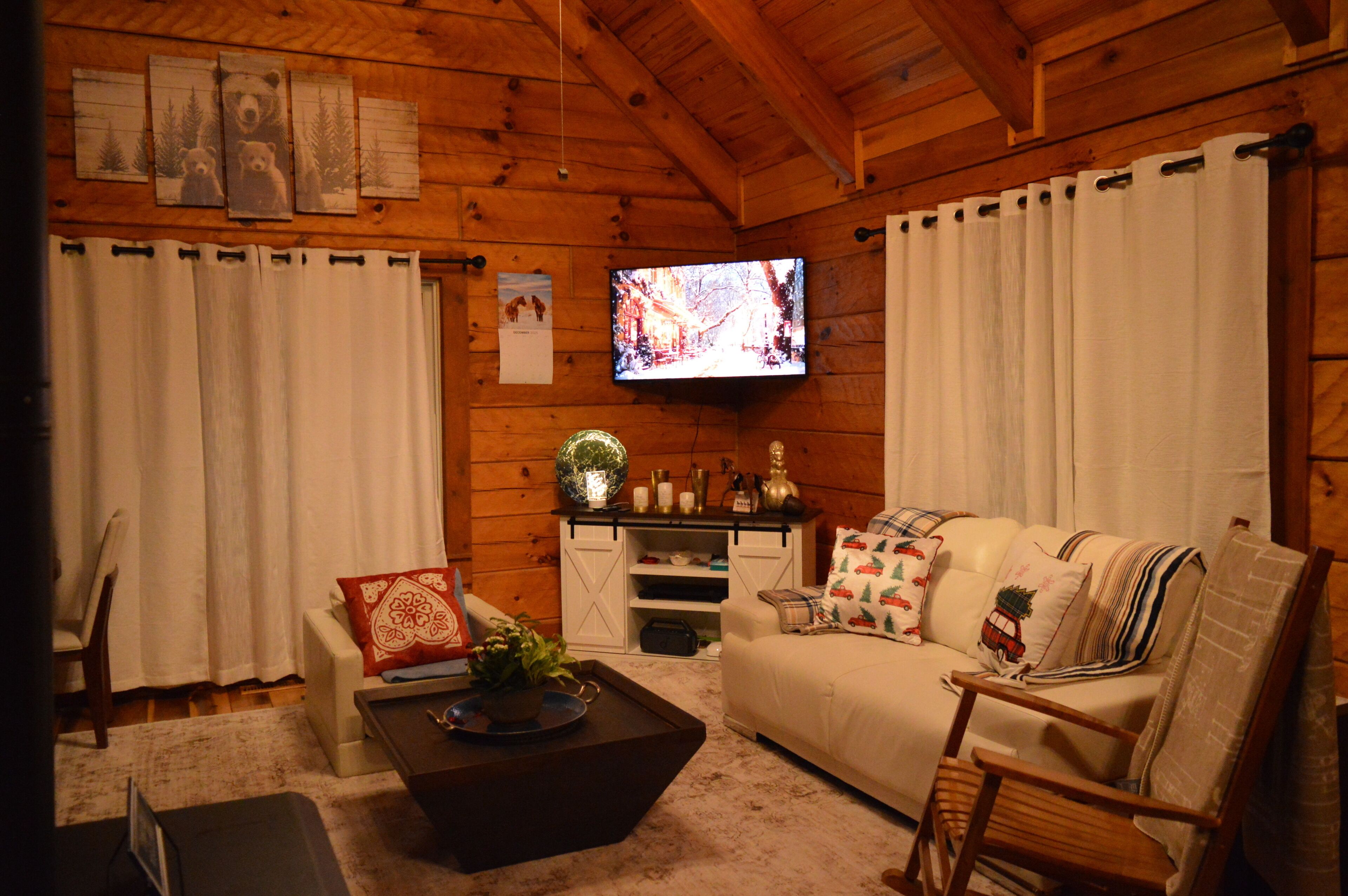 TV, fireplace