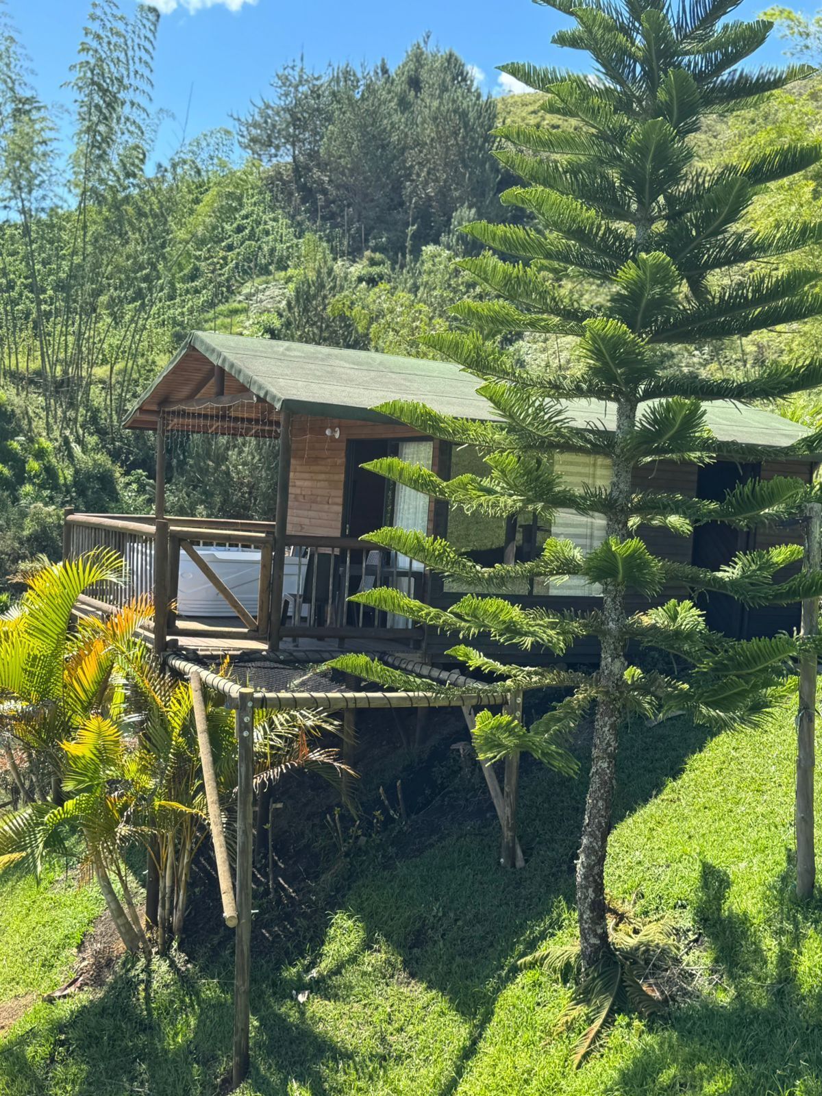 A wooden cabin with a deck, surrounded by lush greenery and trees.