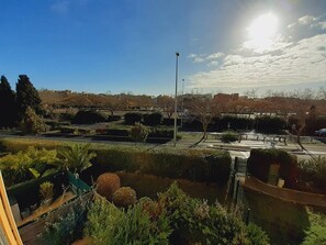 Property grounds - Lovely studio apartment on Mt St Martin, near the port of Cap d'Agde (LE CAP D AGDE)