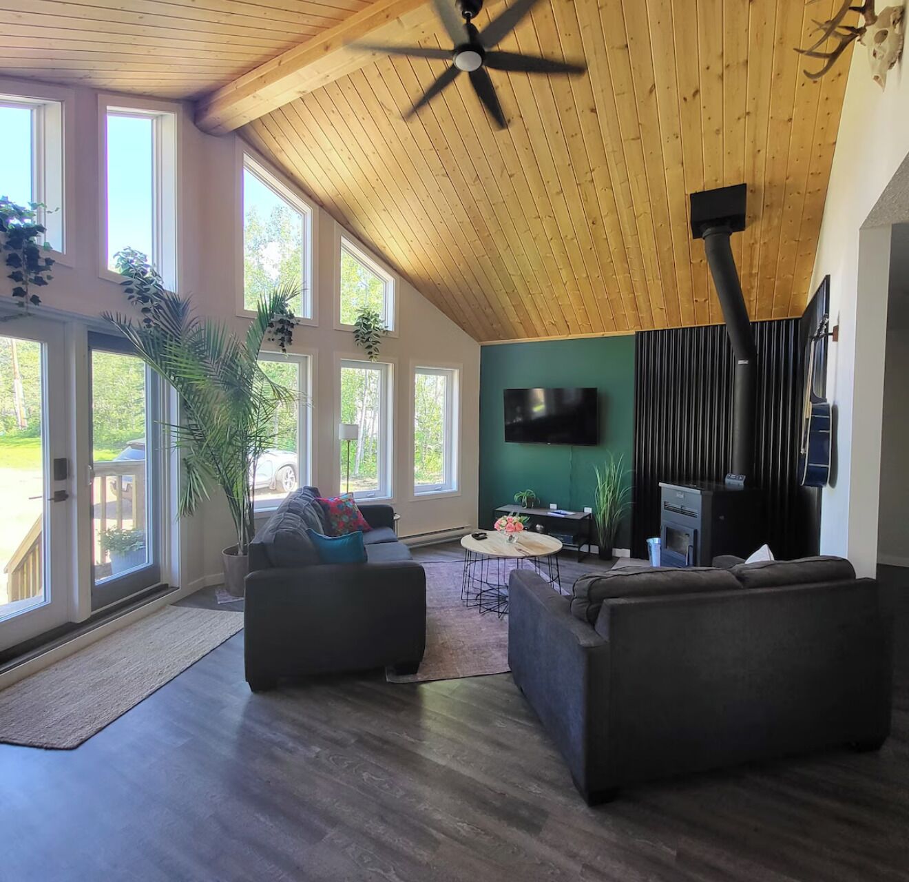 Smart TV, fireplace, books, stereo