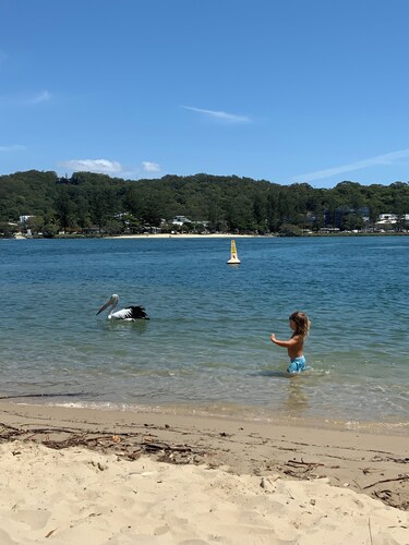 Koala Park beach front view. Murlong crescent🌊