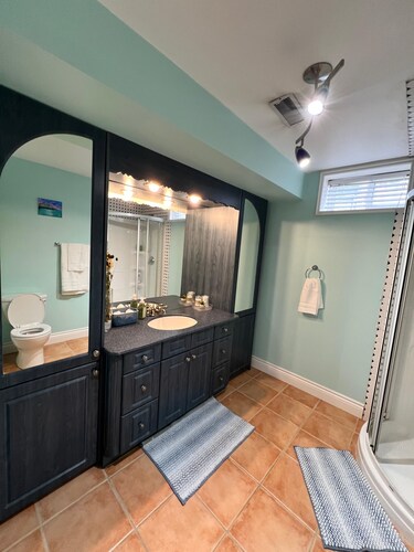 Beautiful basement