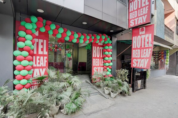 Entrada al alojamiento