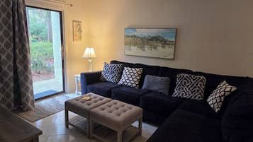 Smart TV, DVD player, books