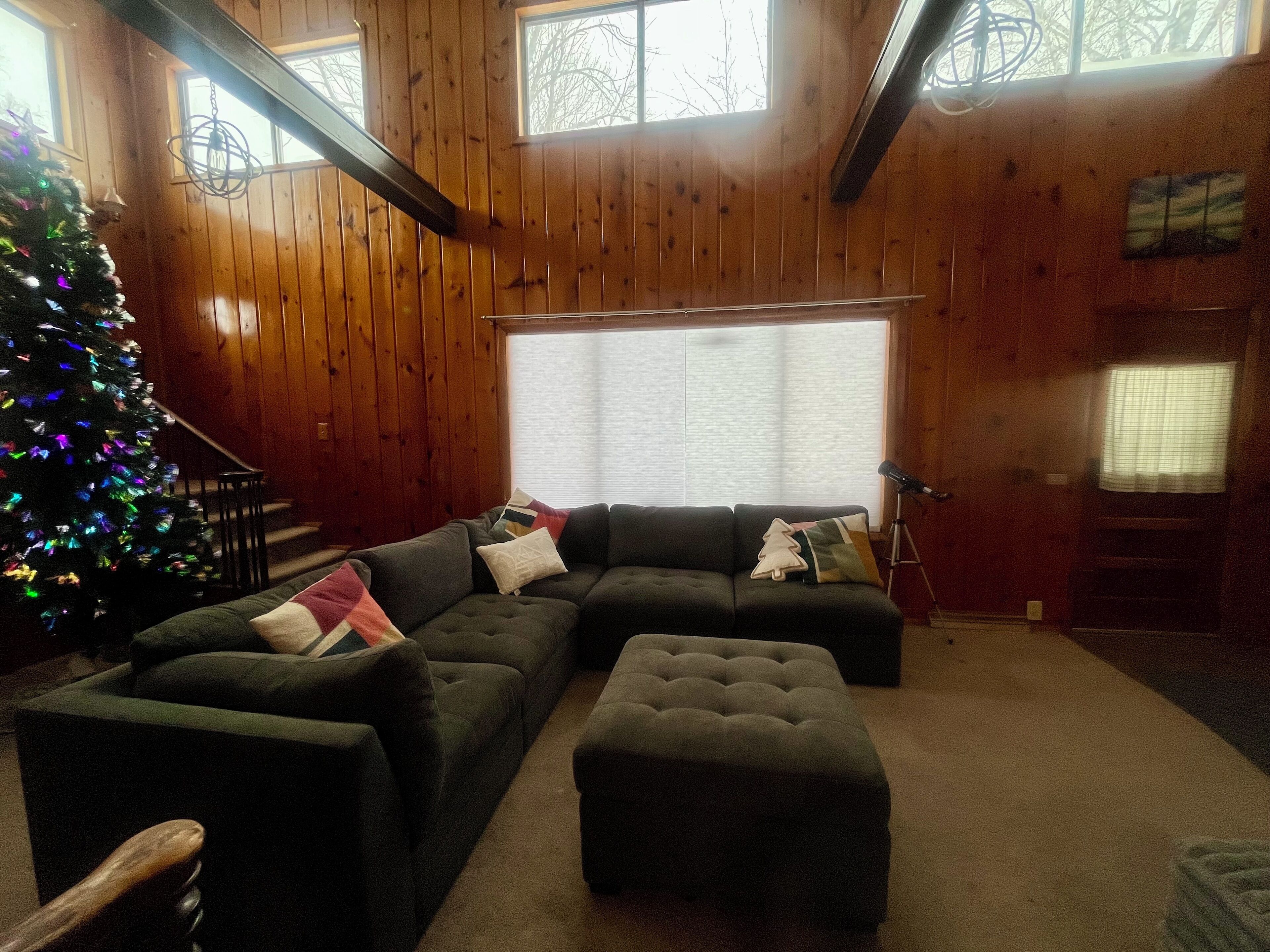 Smart TV, fireplace, books, stereo