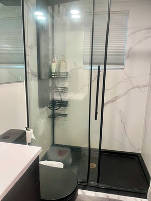 Regadera, secadora de cabello, bidet, toallas