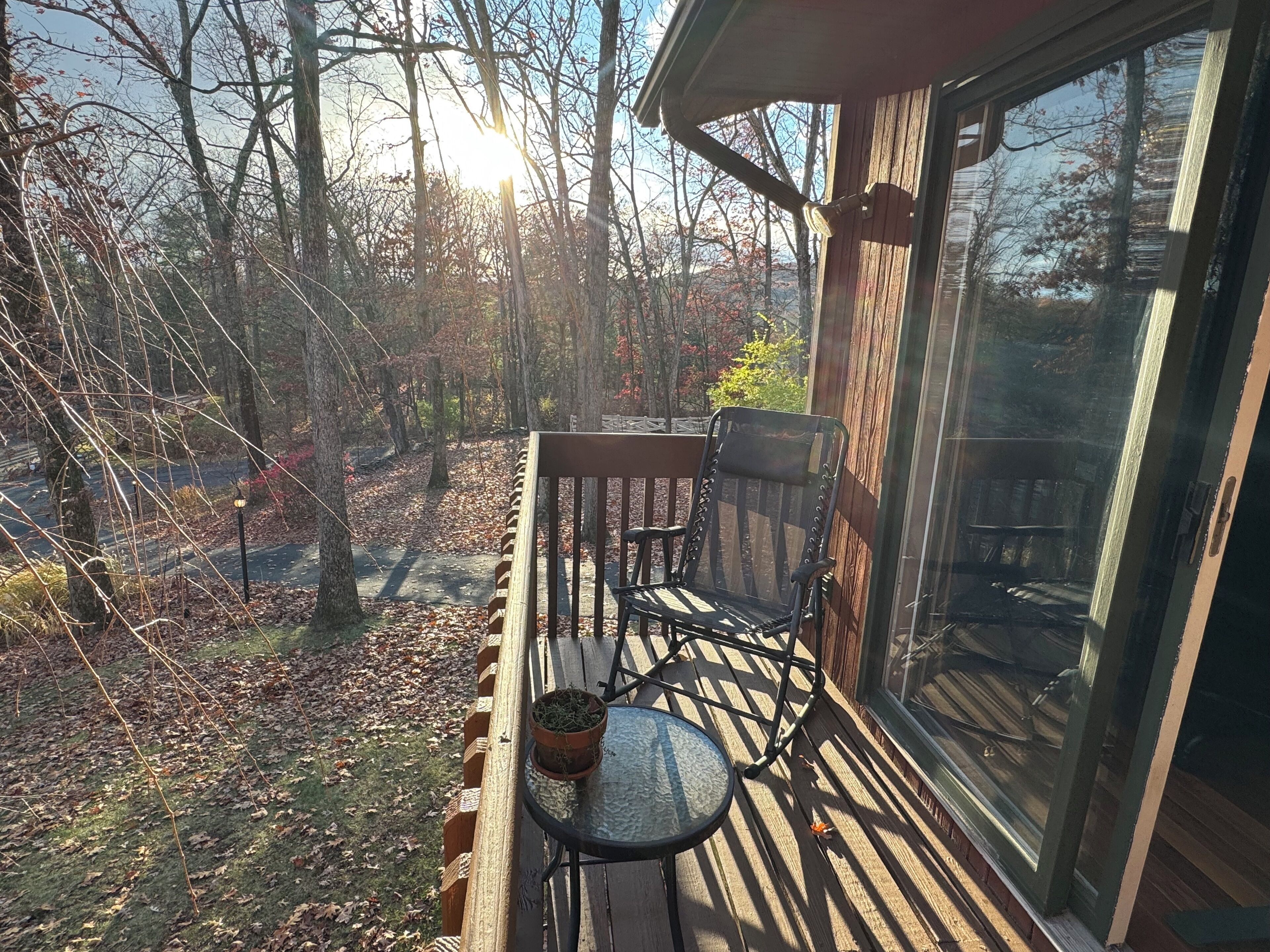 テラス / パティオ