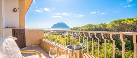 A balcony with a view of a mountain, a table with glasses and a bottle, and a sofa.