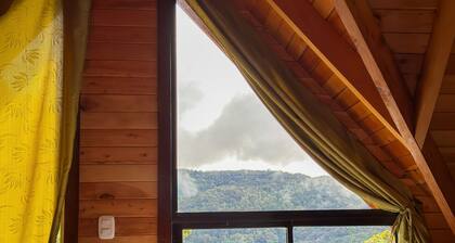 Immerse yourself in the cloud forest. Exuberant fauna such as the quetzal and the tapir.