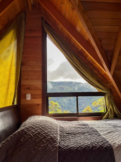 Immerse yourself in the cloud forest. Exuberant fauna such as the quetzal and the tapir.