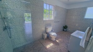 Un baño con ducha, inodoro, lavamanos y una planta en maceta.