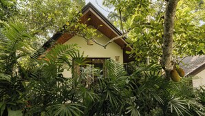 A house surrounded by dense tropical foliage. - The Benison (Ahangama)