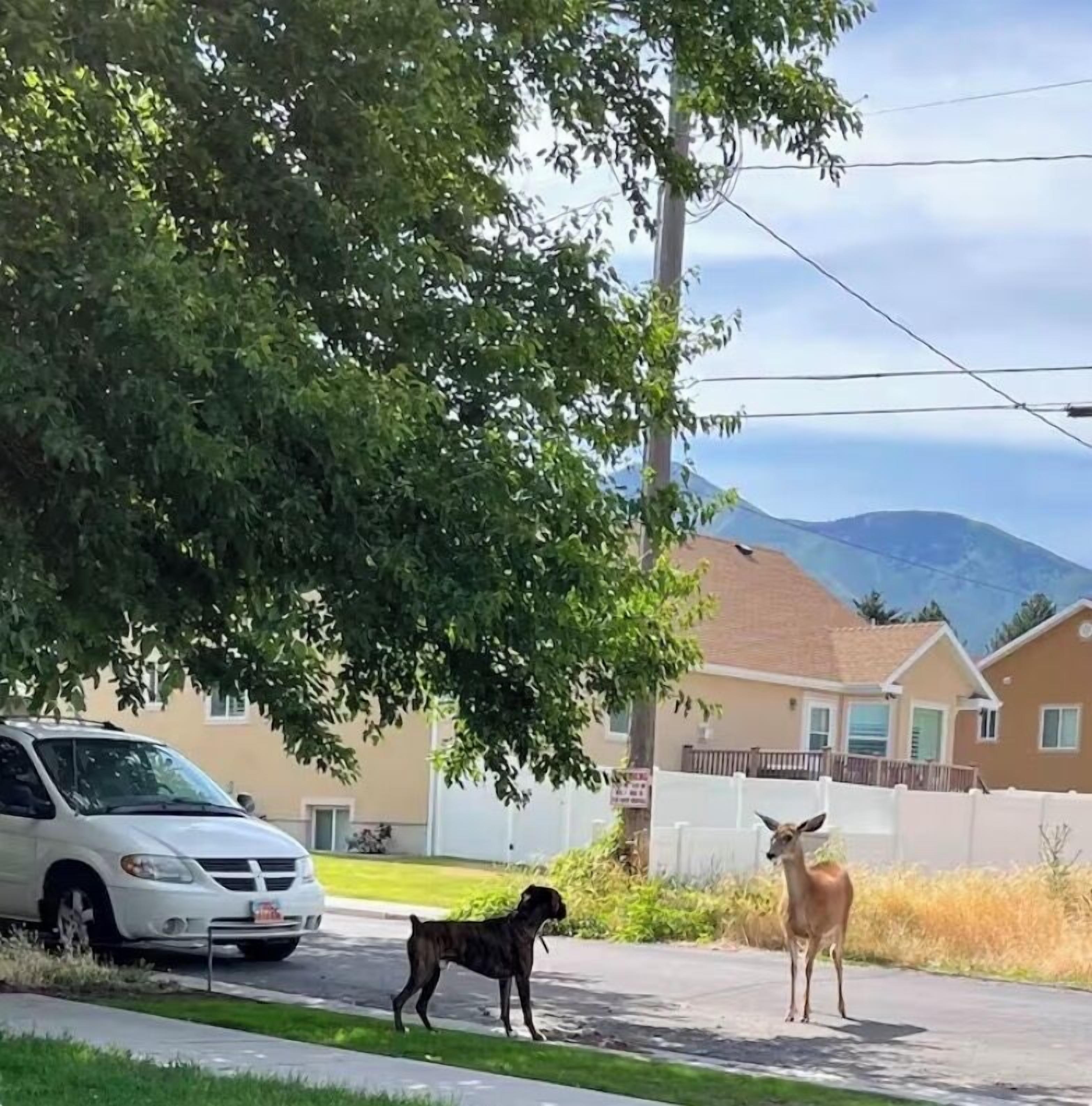 Onsite parking