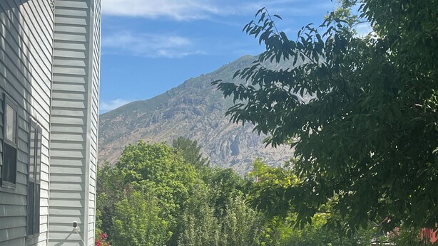 A residential backyard with a white fence, a grassy lawn, and a mountain in the background. - Located in Basement of Twin Home. Relax & Play with Swim Spa & Game Room for 4 (Springville)