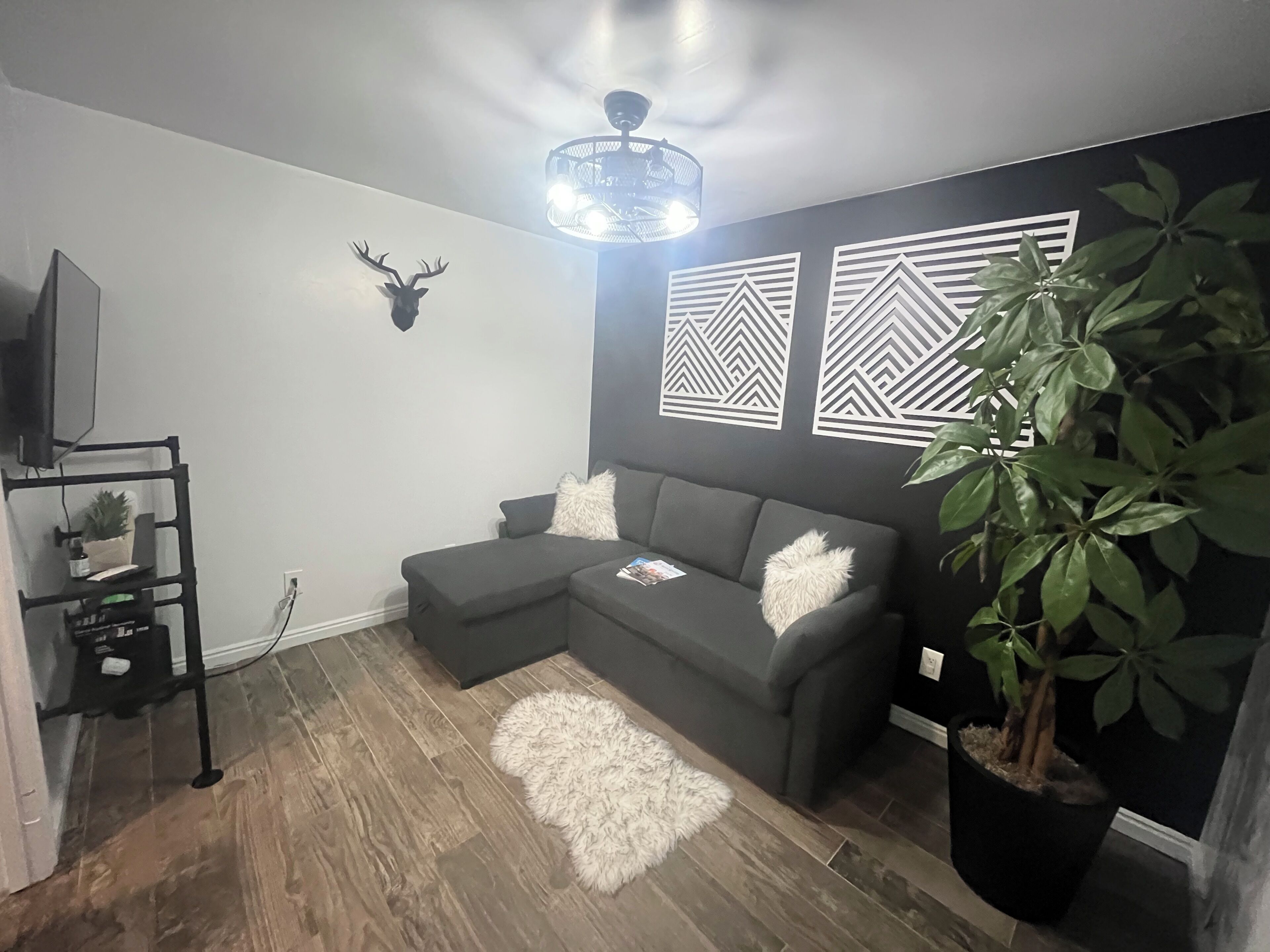 Smart TV, fireplace, books, stereo
