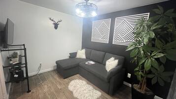 Smart TV, fireplace, books, stereo