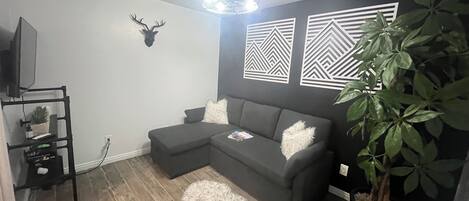 Smart TV, fireplace, books, stereo