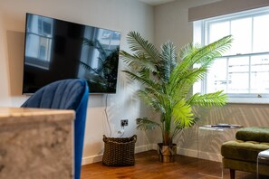 تلفزيون، كُتُب