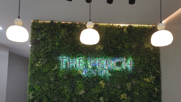 A wall with a green vertical garden and the text "THE PERCH HOSTEL" in illuminated letters. - The Perch Hostel (Olongapo)