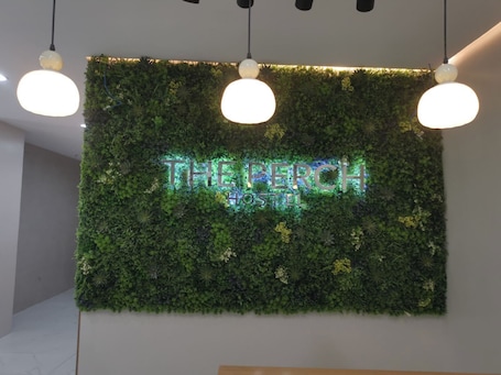 Recepción. The Perch Hostel