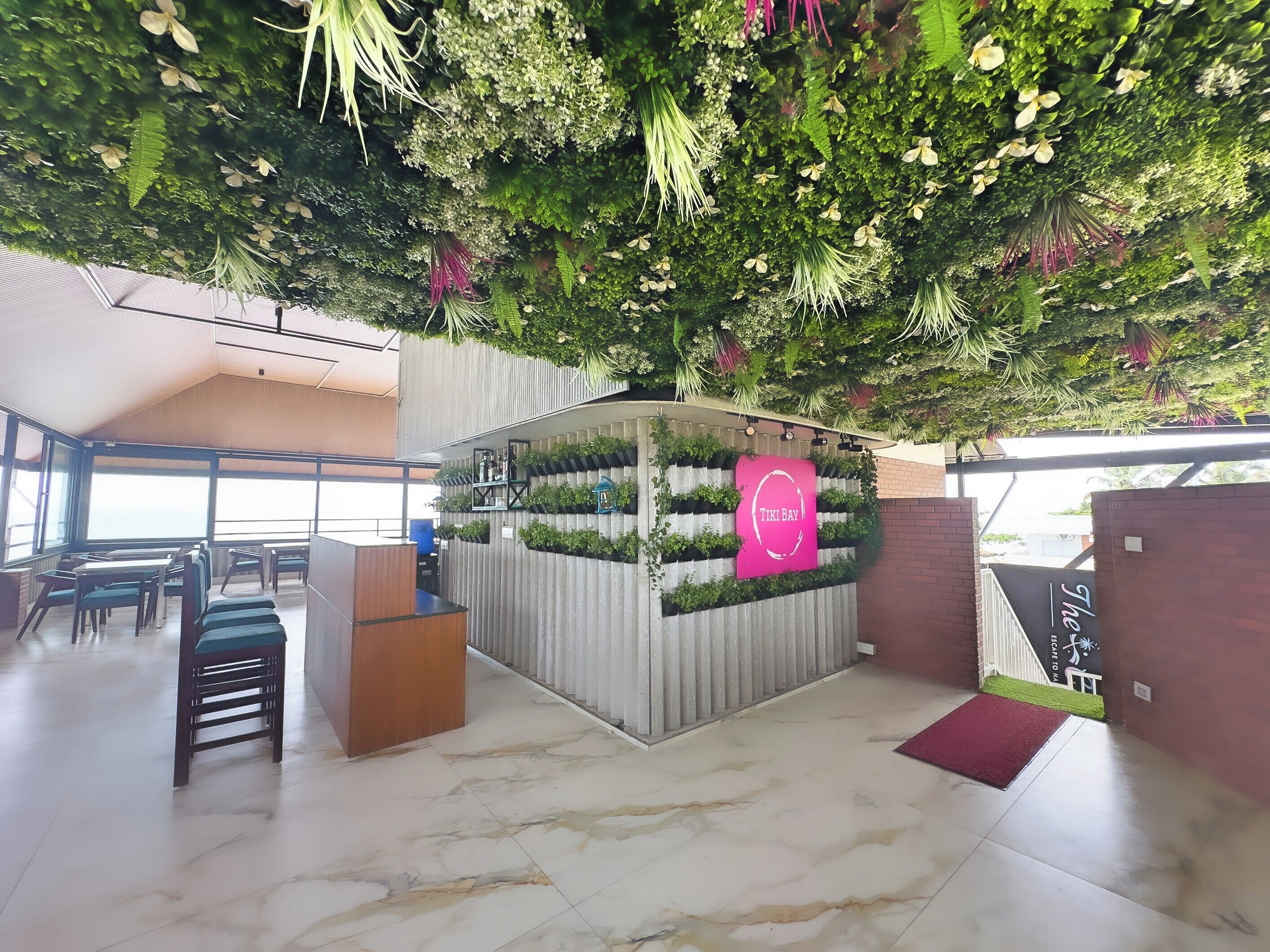 Terraza o patio