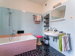 Shower, hair dryer - Holiday apartment in Pinzgau with garden (Niedernsill)