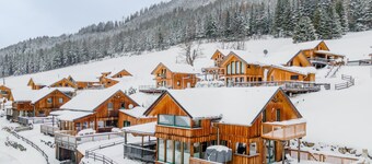 Cosy chalet on the slopes with sauna and hot tub
