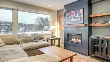 TV, fireplace, books
