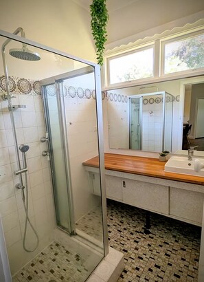 Chuveiro, secador de cabelo, toalhas de banho, sabonete