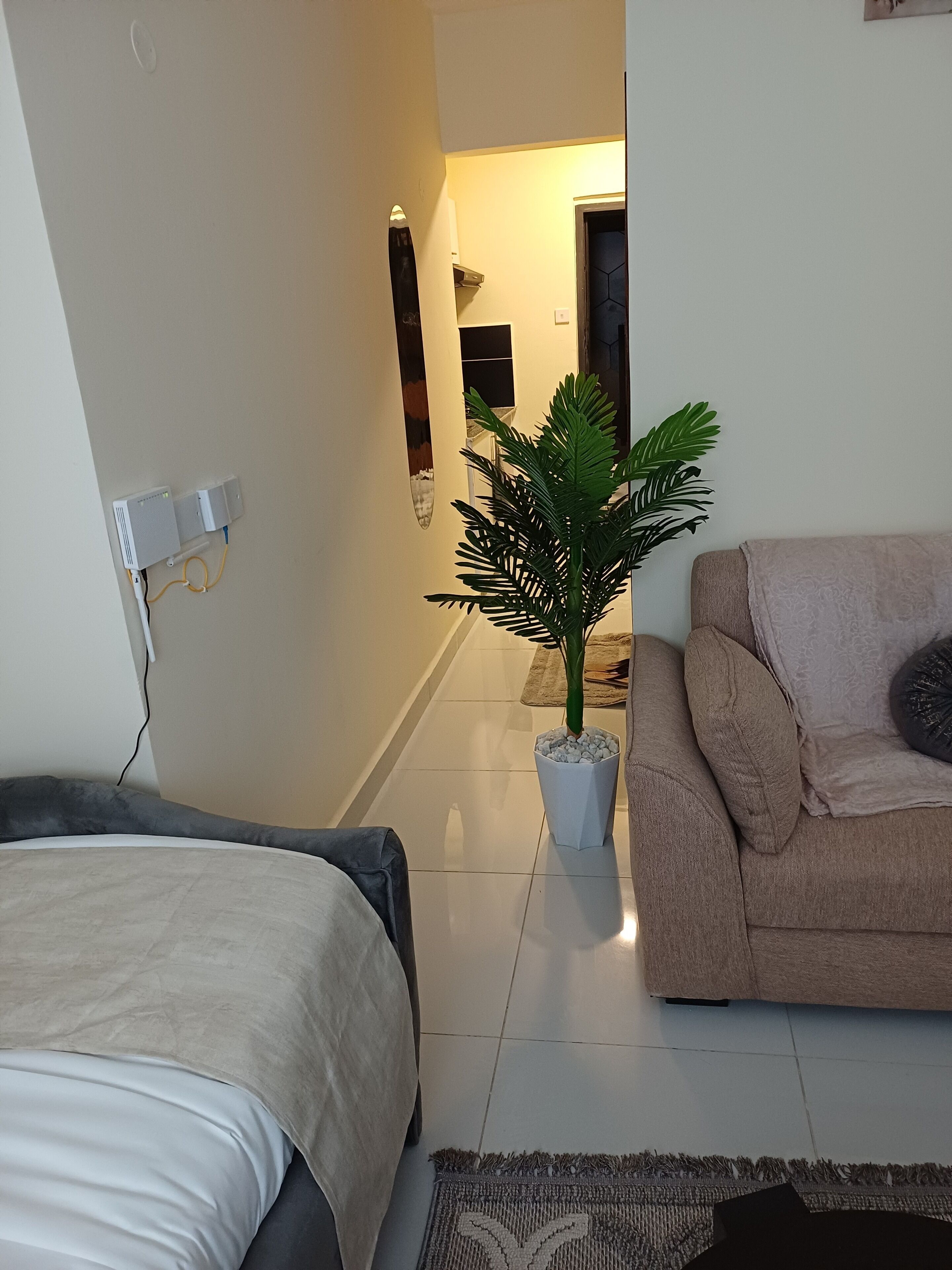 Een hotelkamer met een bed, een bank, een potplant en een wandcontactdoos.