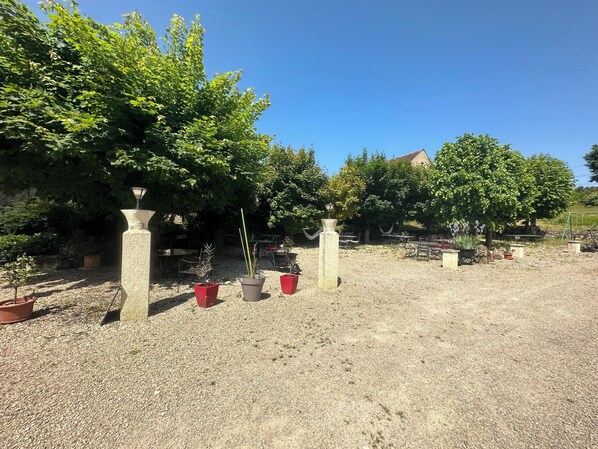 An outdoor garden area with gravel ground, potted plants, and trees.