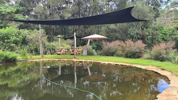 Àrea exterior de l'allotjament