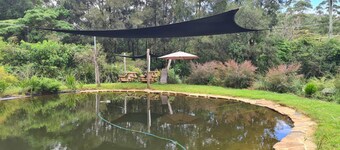 Forest Gypsy Tiny Home