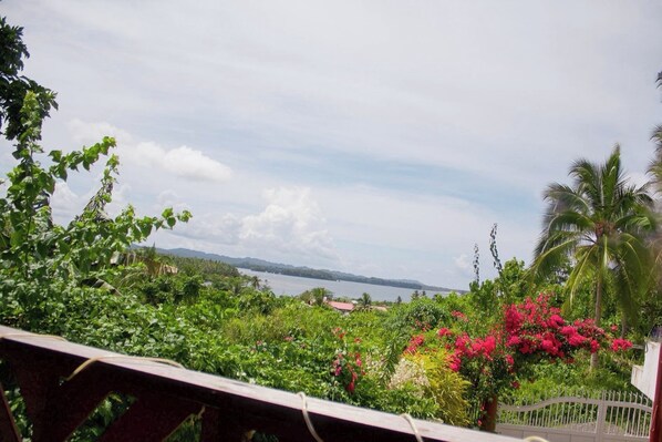 Property grounds - Ocean View Villa with 2 bedrooms, AC and FREE Starlink WiFi around General Luna (General Luna, Surigao Del Norte)