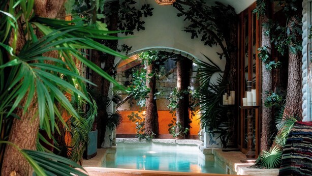 An indoor pool with a stone wall, surrounded by tropical plants and trees. - L’Unique – Voûte du XVIIIe & Élégance Incomparable (Goult)