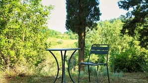 Property grounds - Agriturismo Polgara - Apt 1 - one bedroom (Casciana Terme Lari)